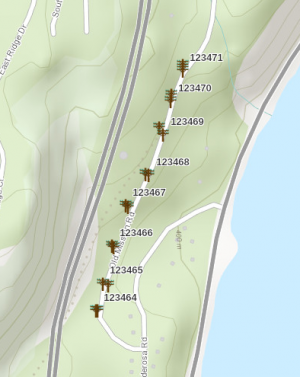 ArcGIS poles with labels.png